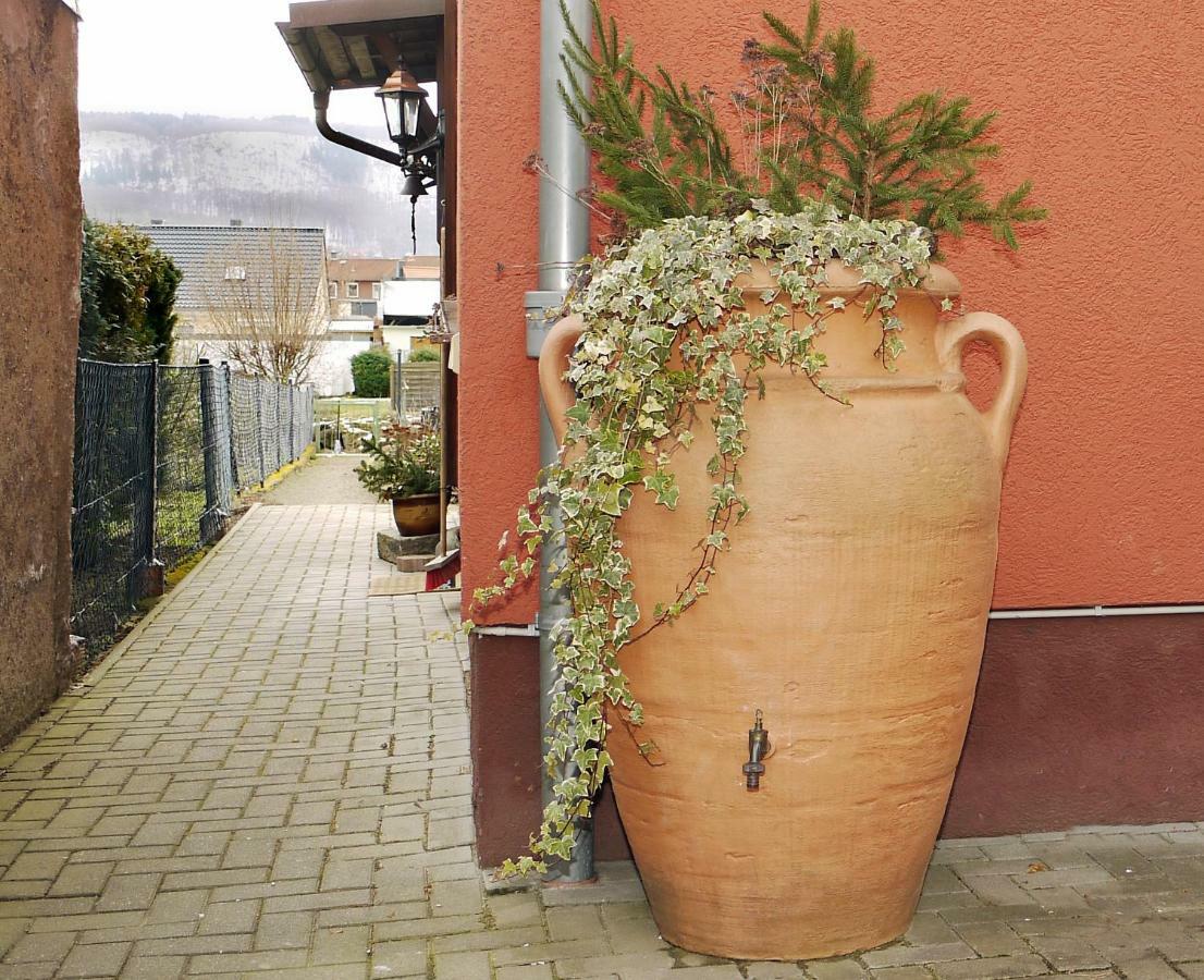 Ferienhaus Oliv Thale Buitenkant foto